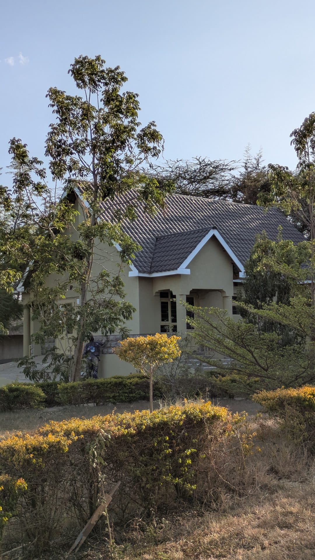 Shade between the tents
